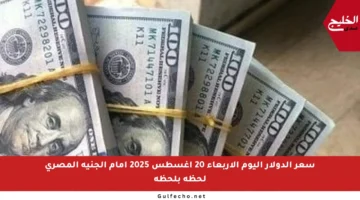 سعر الدولار اليوم الأربعاء 20 أغسطس 2025 أمام الجنيه المصري لحظة بلحظة